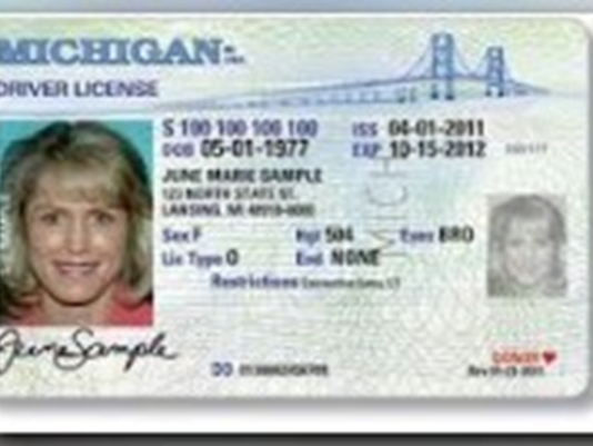 Michigan Motorists Would Be Able To Renew Their Driver s License Every