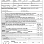 NV DMV 002 2019 Fill And Sign Printable Template Online US Legal Forms