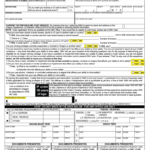 Oregon Application Id Card Fill Out And Sign Printable PDF Template