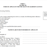 PDF Gujarat Driving License Renewal Application Form In Hindi PDF