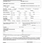 Philippine Passport Renewal Application Form