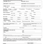 Philippine Passport Renewal Form Pdf Fill Out And Sign Printable Form