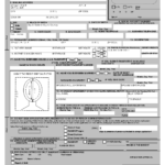 Svg Passport Renewal Form SVGIM