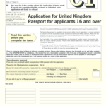 Uk Passport Application Form Pdf Fill Out Sign Online DocHub