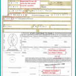 Ghana Passport Renewal Application Form Pdf Form Resume Examples