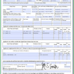 Green Card Renewal Application Form Lasopaego