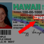 Honolulu Drivers License Renewal Appointment