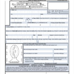 Is Passport Renewal Form PrintableForm Printable Form 2021